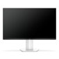 Monitor 25" TCL Gaming 25P1AD FHD