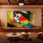 TV Smart 65" TCL 65C655A QLED 4K Google TV